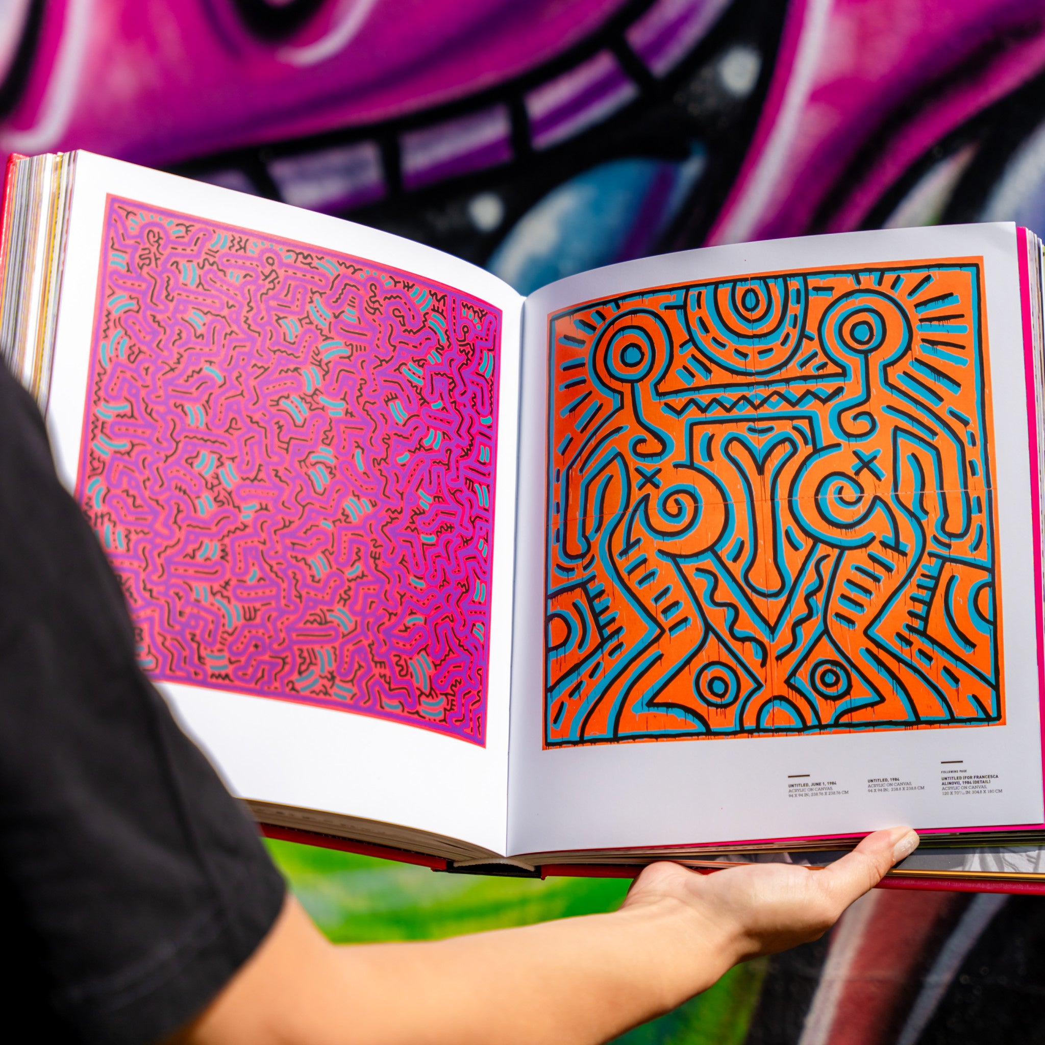 Keith Haring (Rizzoli Classics) – The Wynwood Walls Shop