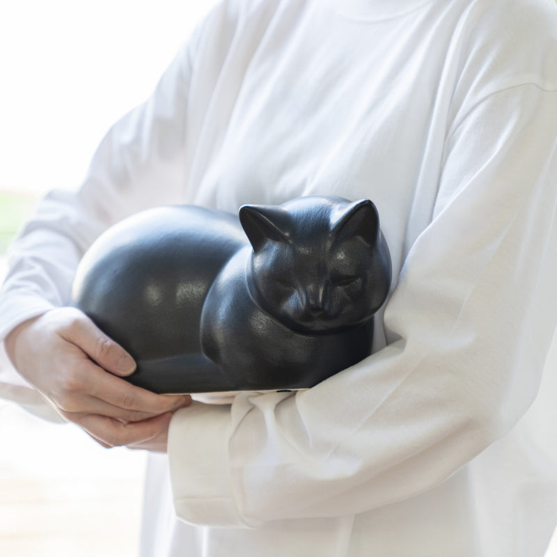 モーゼス（ブラック）