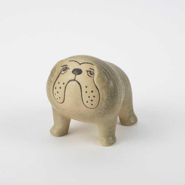 ブルドッグ ミディアム（グレー）