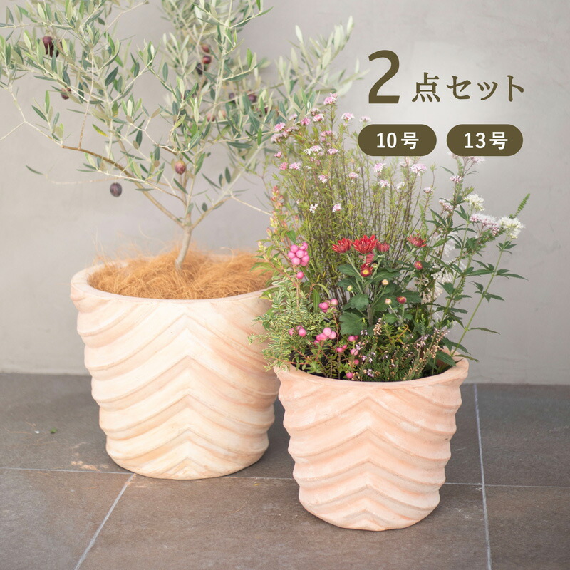 楽天市場】シリンドロ アリーナ 15号 ≪植木鉢 イタリアンテラコッタ鉢