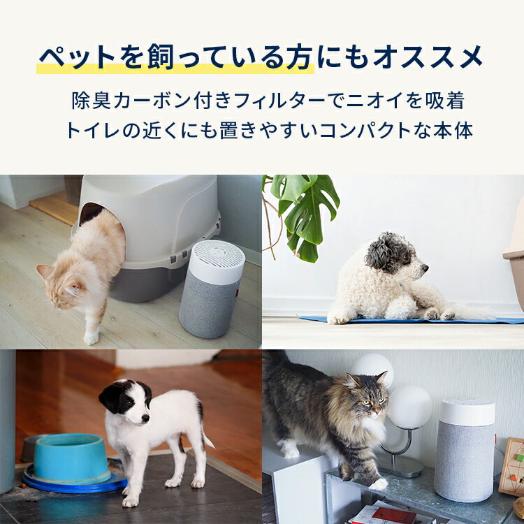 空気清浄機 ブルーエア Blue Mini Max 12畳 ミニ 小型 花粉 コンパクト