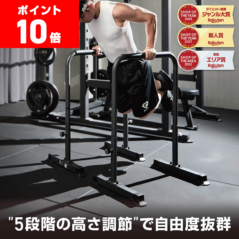 楽天市場】【8,580円→SALE6,930円〜3/11(水)01:59まで】ディップス