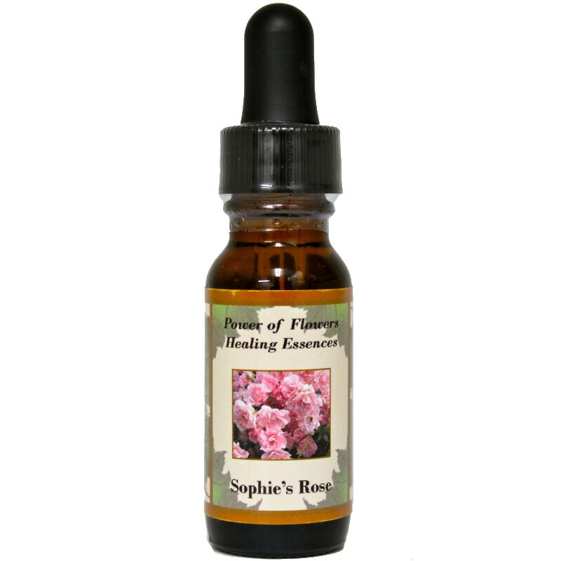 楽天市場】ビューティー＆ビースト（美女と野獣）（違いを受け入れる