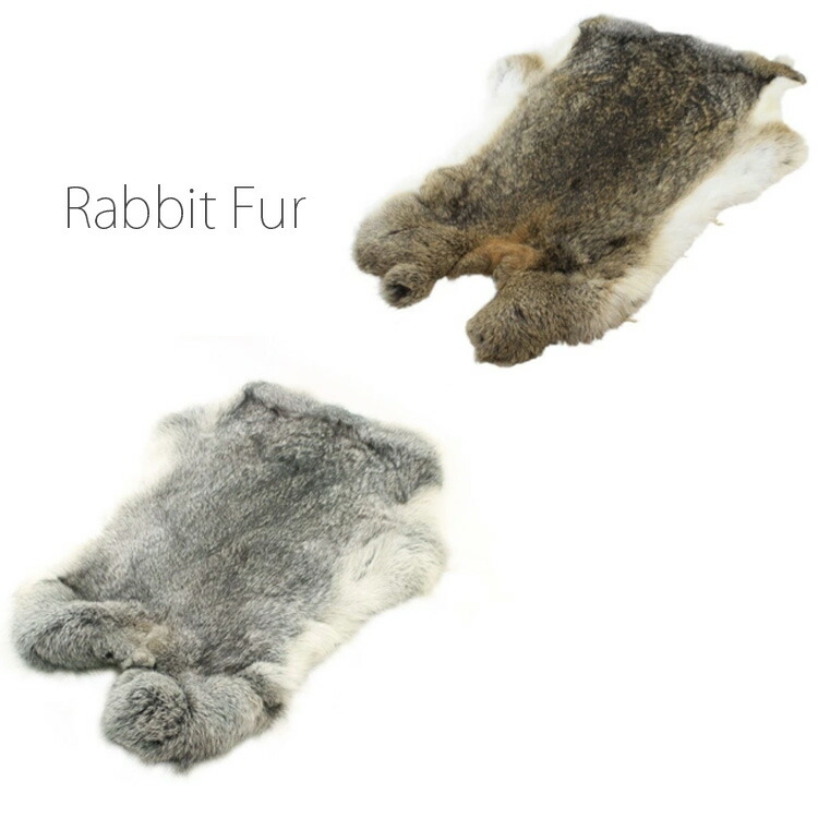 楽天市場】アメリカ産【ラクーン尻あて】毛皮尻尾付きラクーン【送料