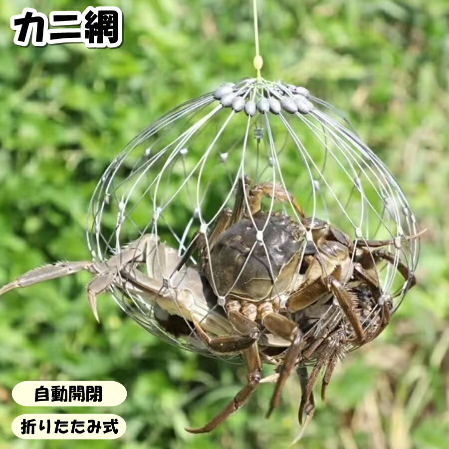 楽天市場】送料無料 カニ網 漁網 投げ網 魚獲り網 仕掛け ネット カニ