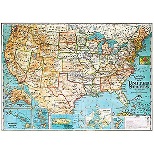 楽天市場】Cavallini&Co ポスター 包装紙 ラッピングペーパー ワールド