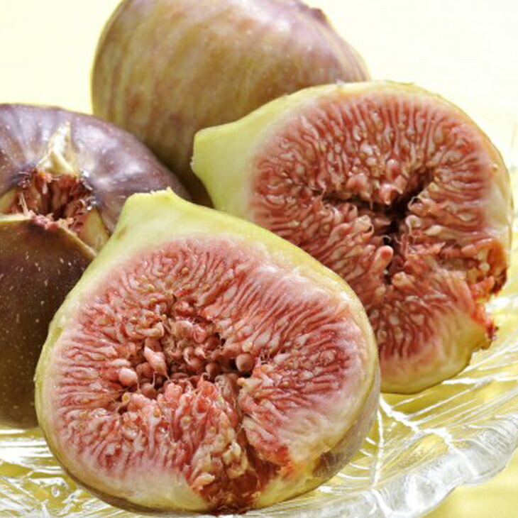 楽天市場】[楽天市場店限定価格] ◇グリゴー スーパーSALE◇ イチジク