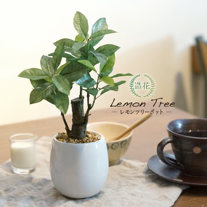 楽天市場】フェイクグリーン 多肉植物 寄せ植え ガラスポット おしゃれ