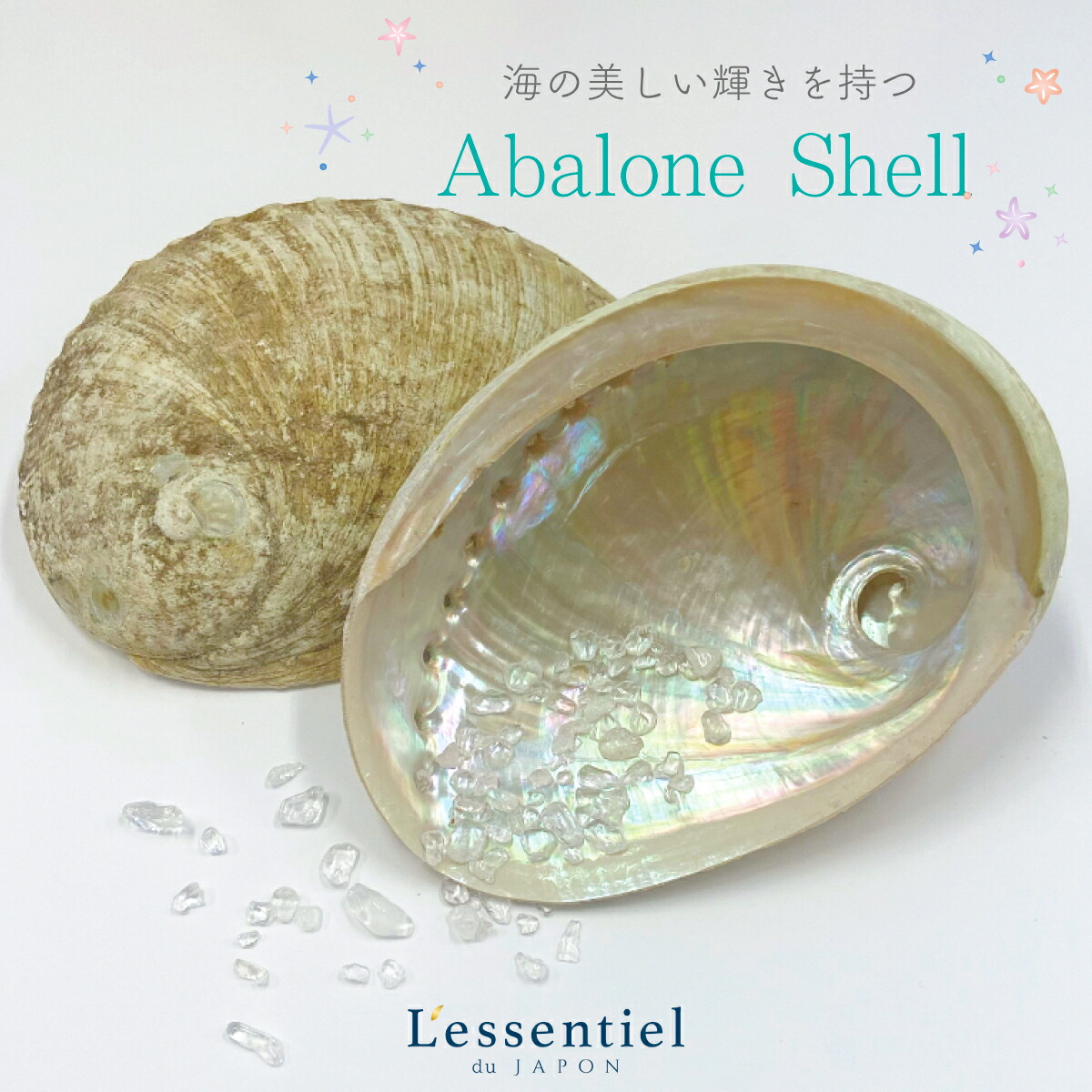 shell-1.jpg