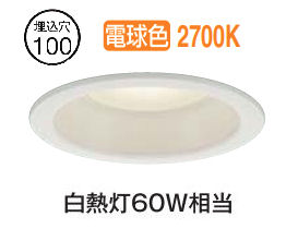 楽天市場】大光電機 ダクトレール用スポットライト DSL4901AWG : 照明