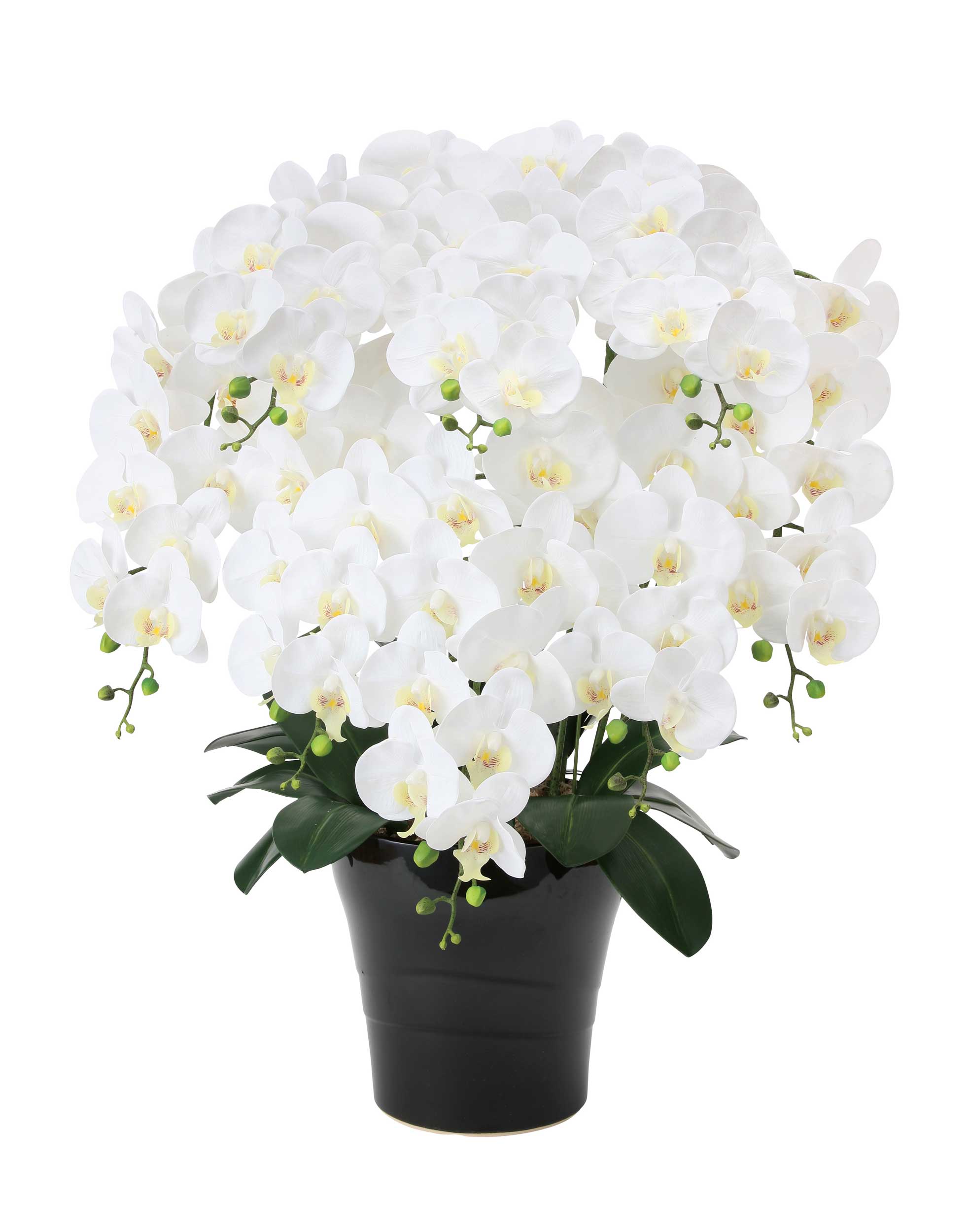 楽天市場】エレガント胡蝶蘭7本立LAV 光触媒 造花 フェイクグリーン