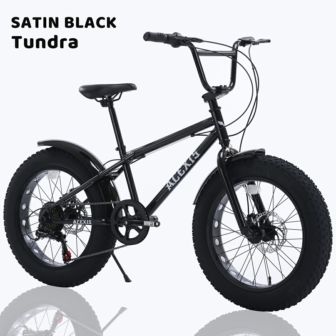 楽天市場】【スーパーセール！ポイント5倍実施中！】ACEXIS ファット