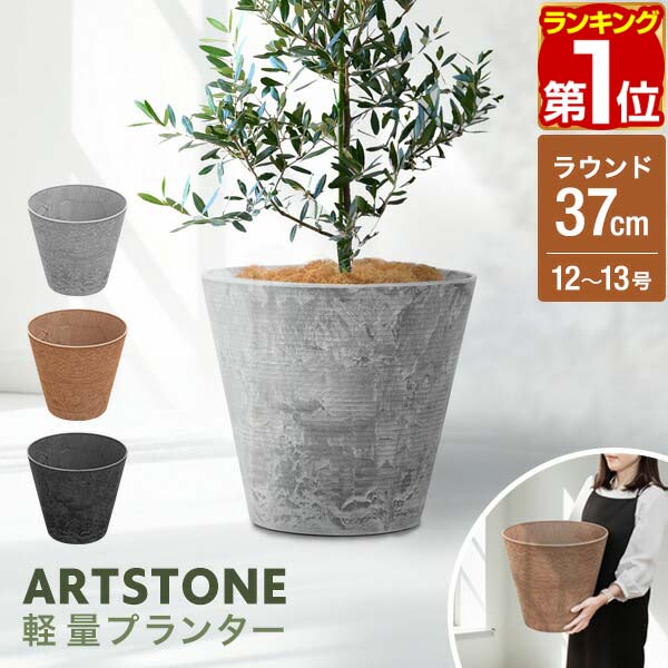 楽天市場】【3,300円→SALE2,970円〜3/11(水)01:59まで】【楽天1位