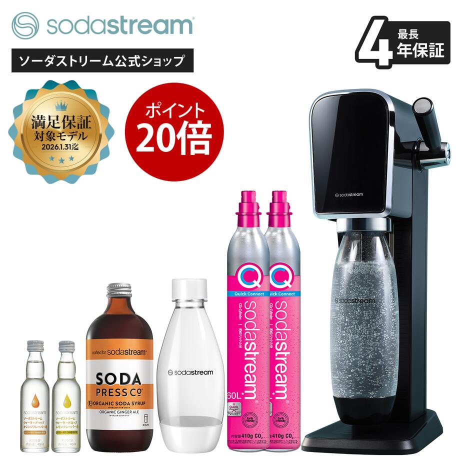 楽天市場】【楽天SS P最大47倍】| ソーダストリーム TERRA(テラ