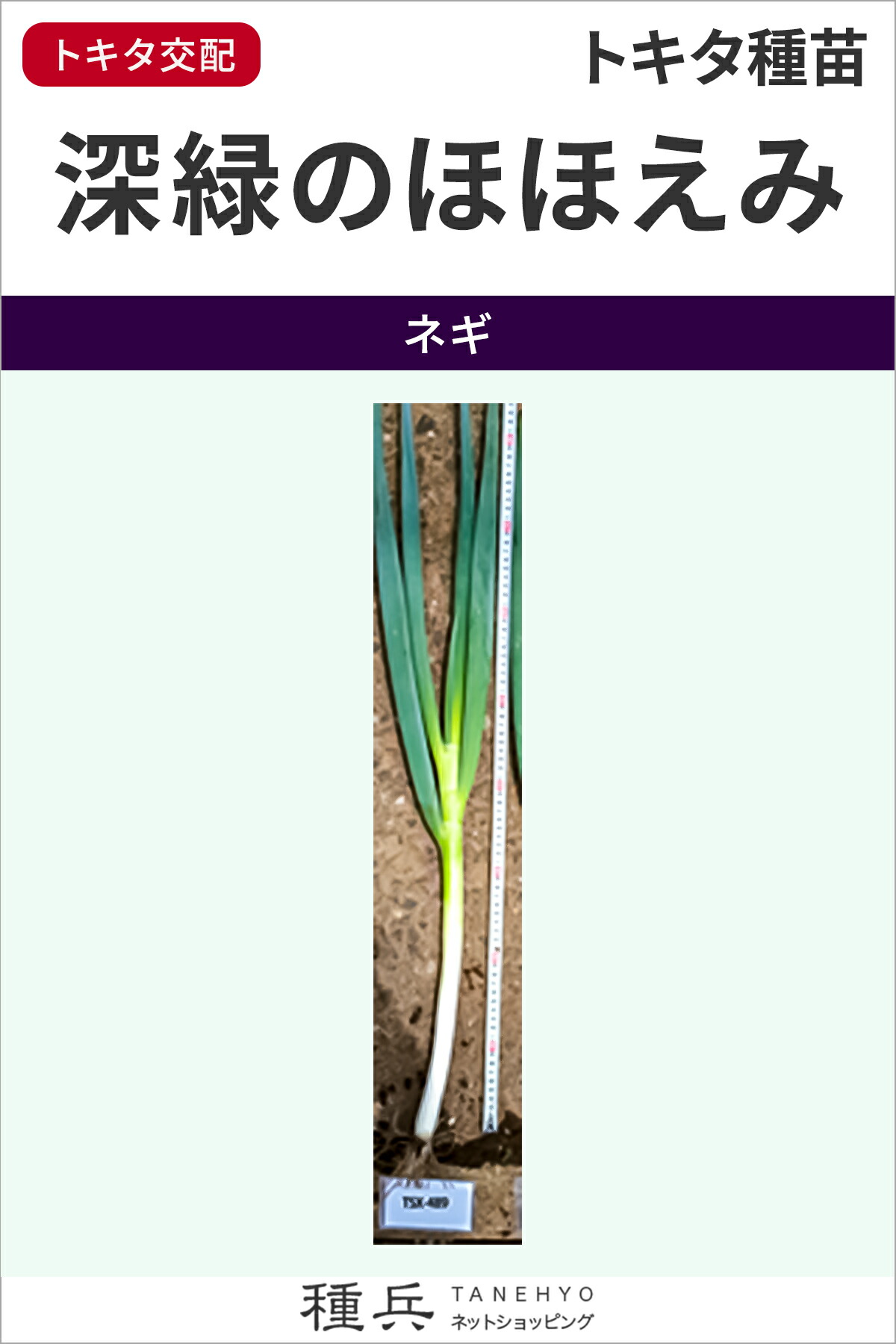 楽天市場】根深ネギ 種 『冬月の雫』 トキタ種苗 : 種兵ネットショッピング