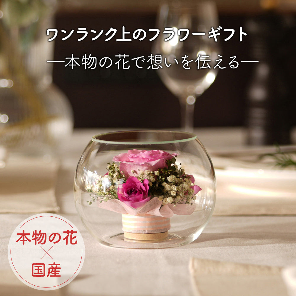 Sweet Bowl S(S-C) – レンデフロール