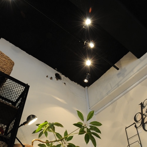 スタジオ 4 | ハモサ(HERMOSA) | リグナ通常品 | おしゃれな家具通販