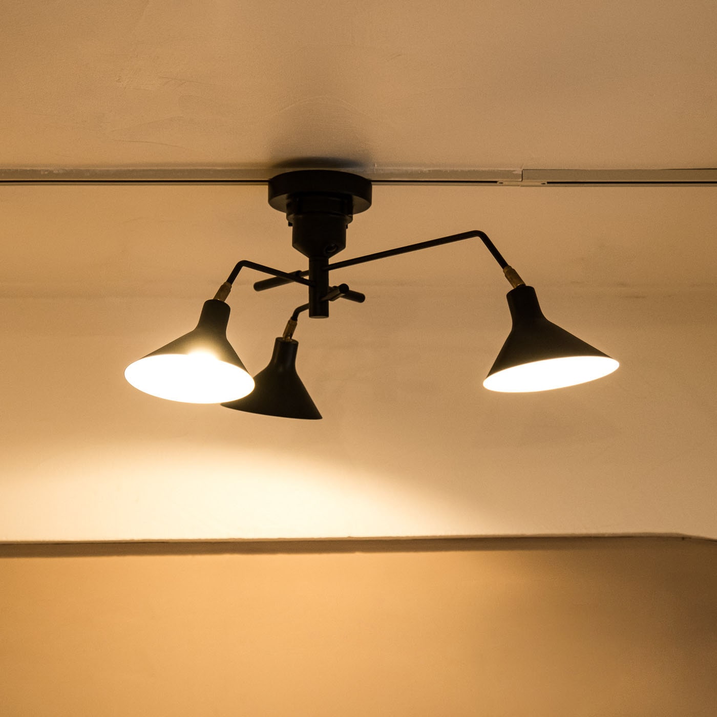 ロネ シーリングライト | リグナテラス東京 | リグナ通常品