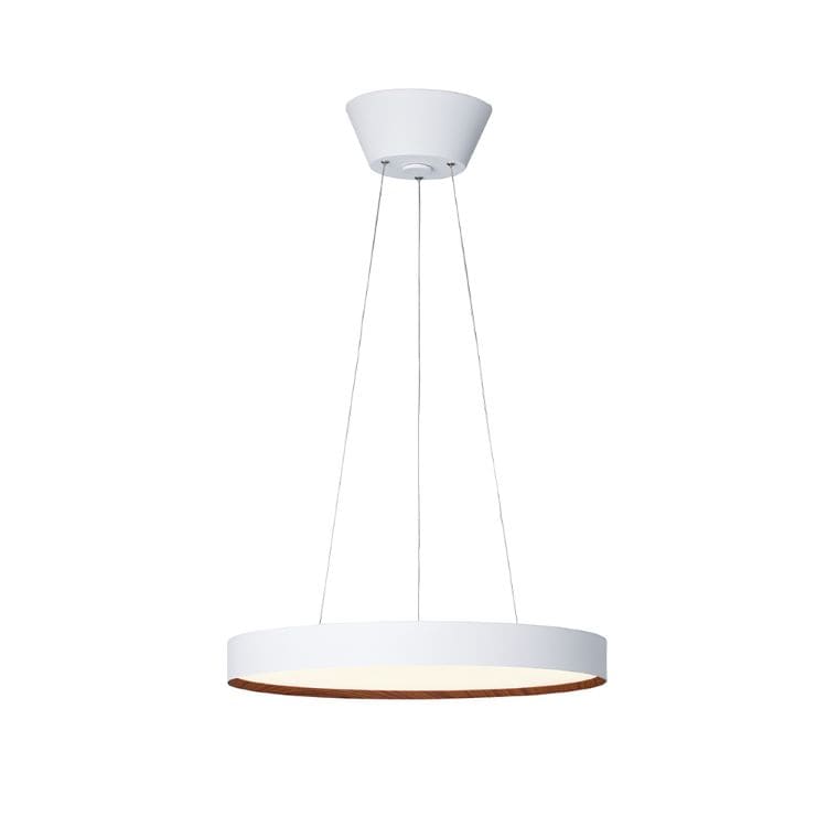 グロー 5500 LED ペンダントライト | アートワークスタジオ (ART WORK