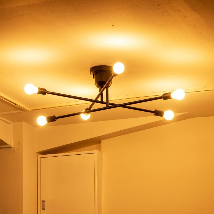 キムリック シーリングライト(ブラック / ホワイト) (カラーホワイト