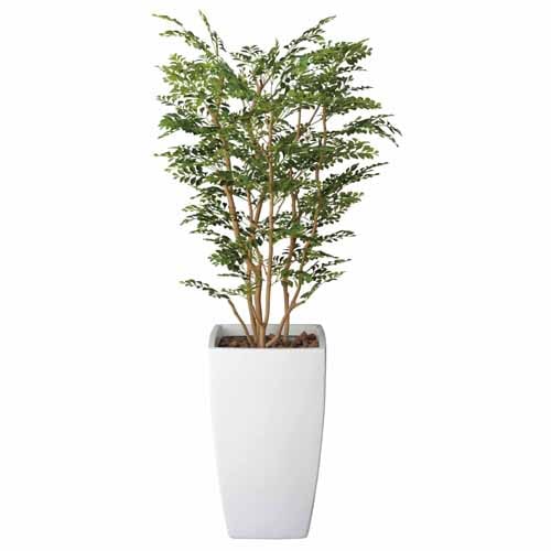 酸化チタン光触媒 アートゴールデンツリー H180 | グリーンヒーリング