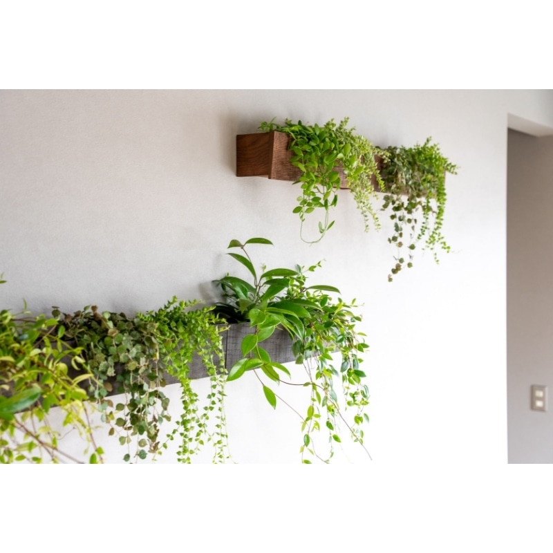 ウォールボックス | ピアンタ×スタンツァ(PIANTA×STANZA) | おしゃれな