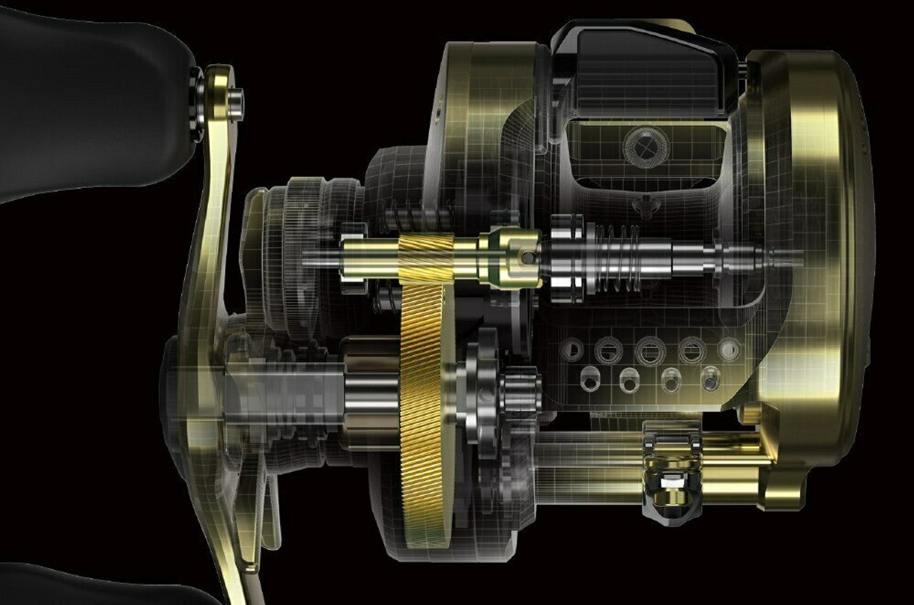 Calcutta Conquest 200HG Ocea – Rod & Rifle Tackleworld