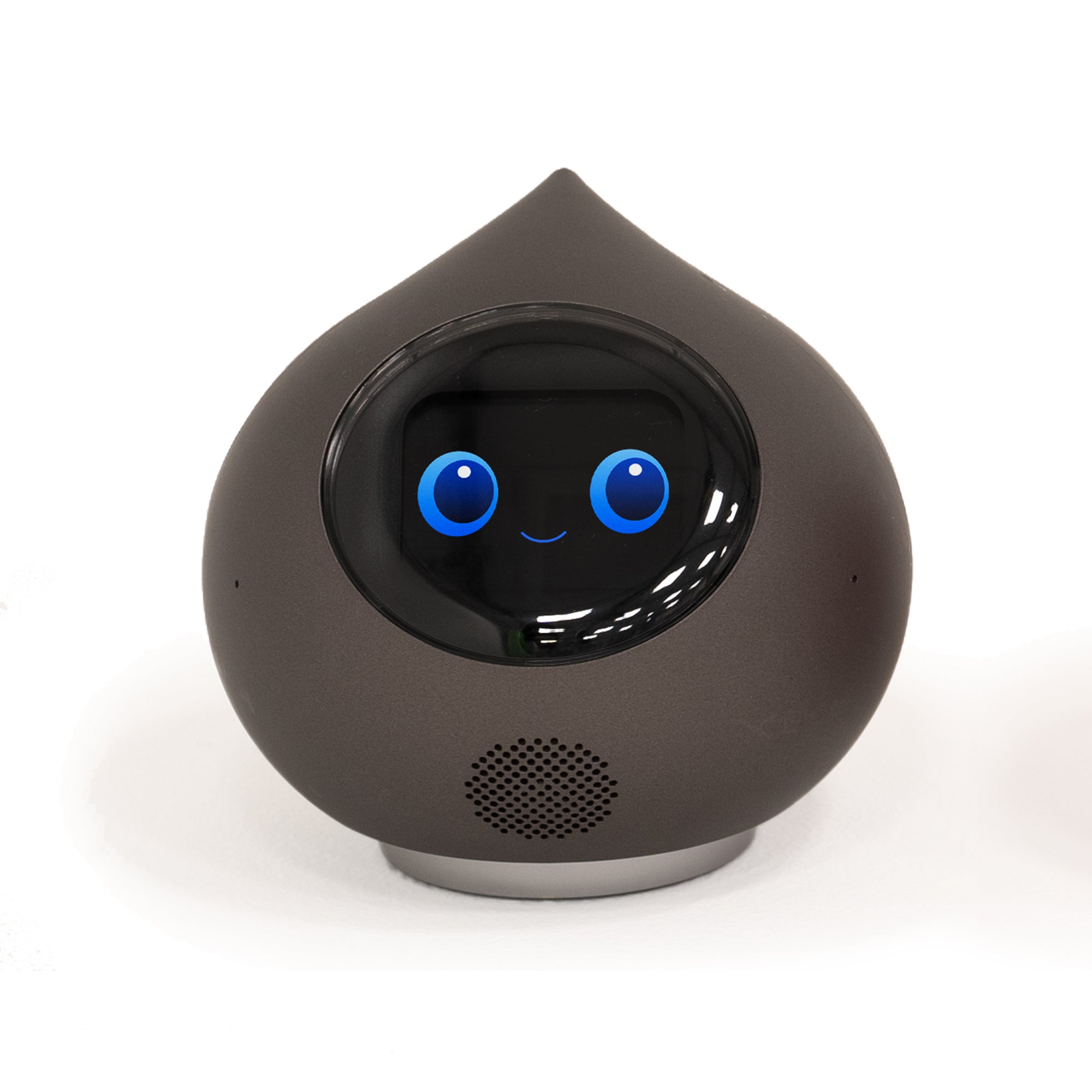 キャンペーン実施中！】会話AIロボットRomi（Lacatanモデル） – Romiストア