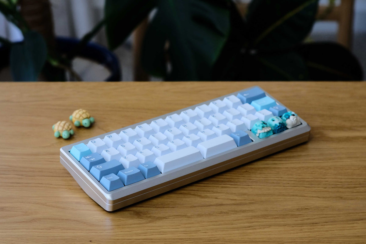 DSCF3370_1200x.jpg?v=1762156186