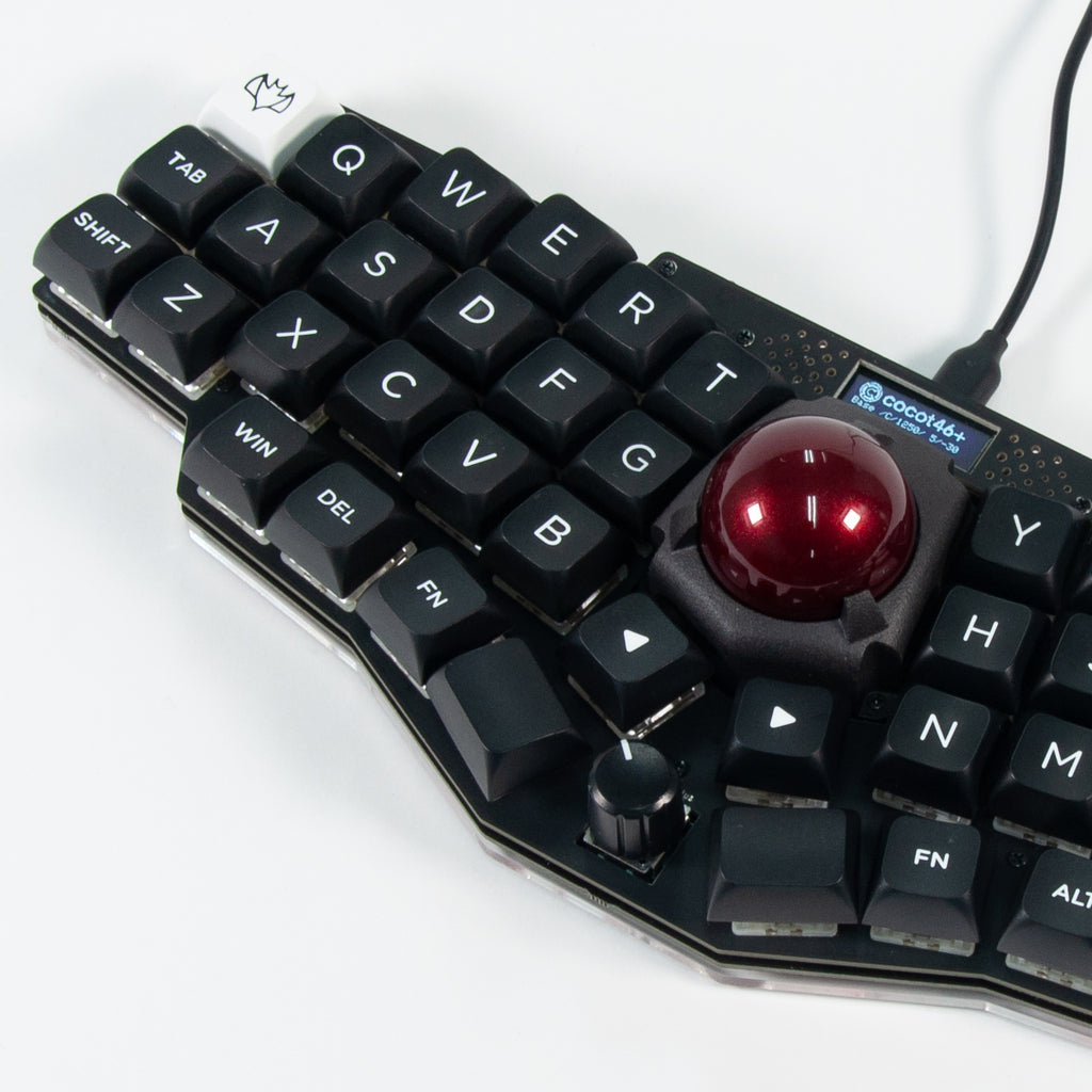 20230311-803_1024x.jpg?v=