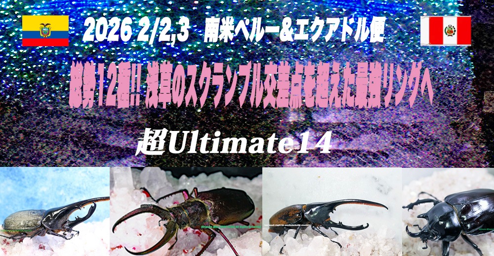 世界最高峰アルティメットミカカブクワ