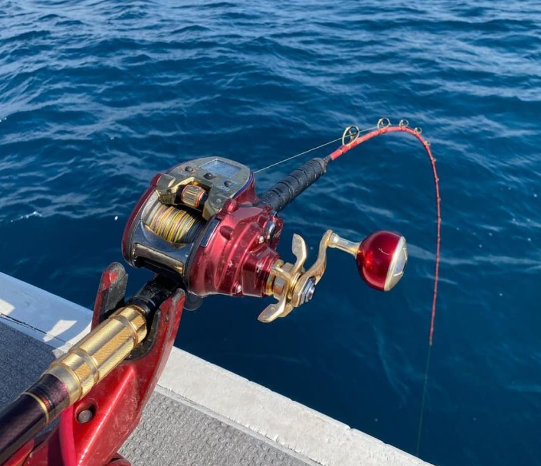 DAIWA Shot Viper 195 Boat Game Rod