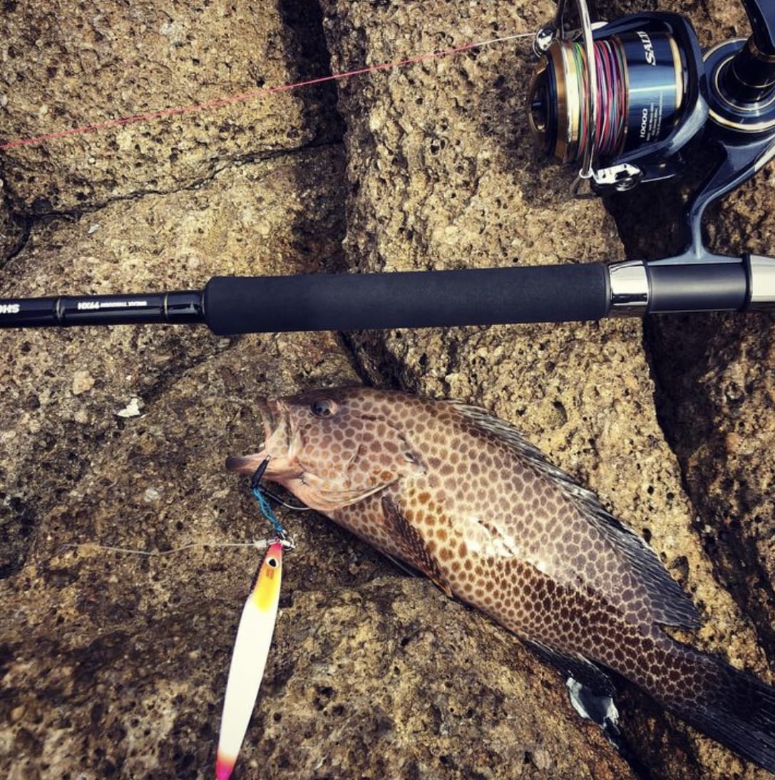 DAIWA SALTIGA 10000-P / 10000-H SPINNING REEL