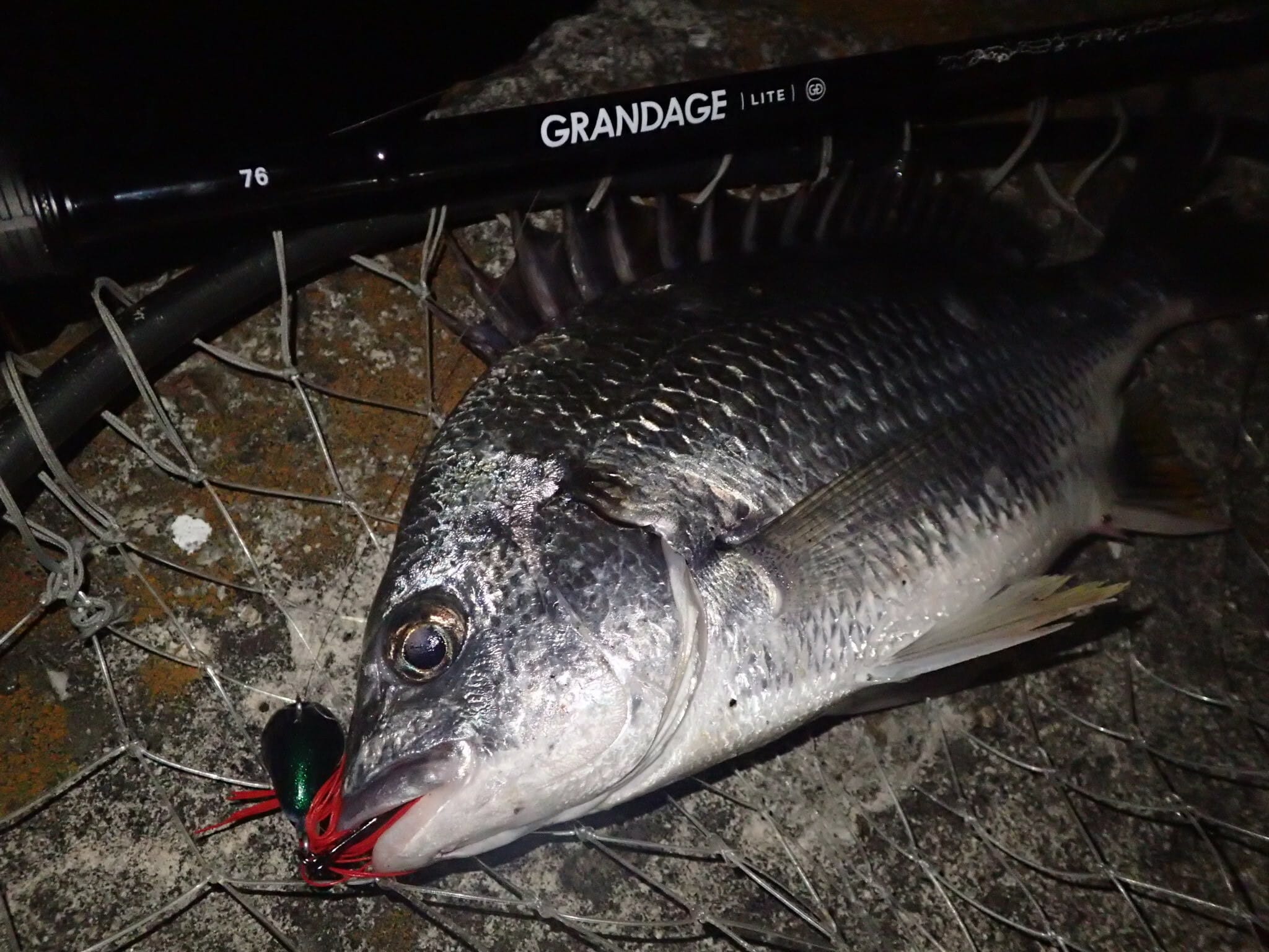 APIA Grandage Lite 76 Chinu Game Special Light Game Rod