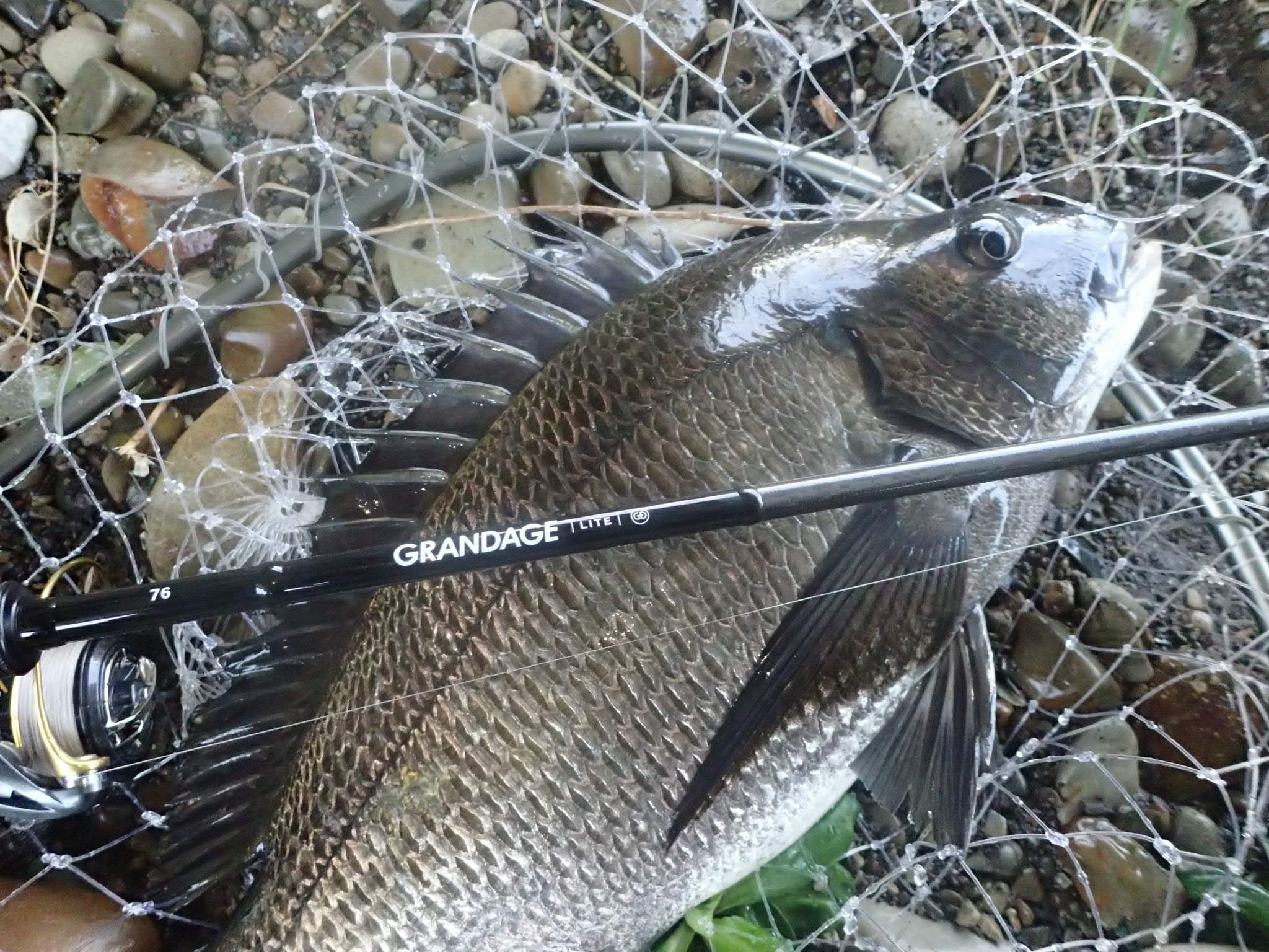 APIA Grandage Lite 76 Chinu Game Special Light Game Rod