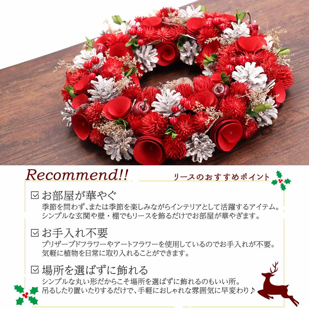 リース クリスマス Mサイズ クリスマスリース Christmas Xmas Wreath
