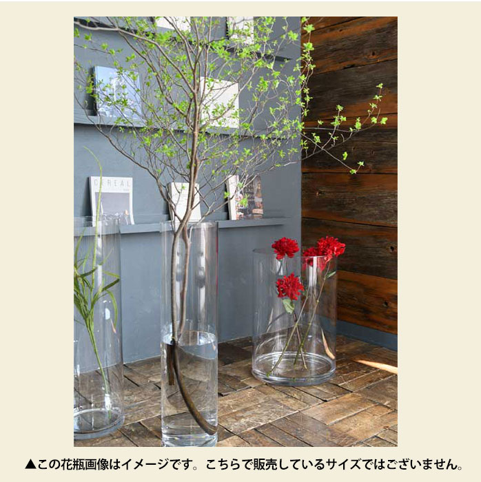 ピッタリサイズの花瓶】当店の枝ものスタンドにピッタリサイズ！ 割れ