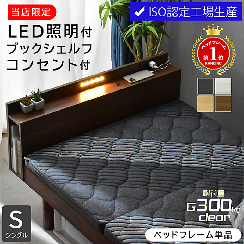 フランスベッド（FRANCEBED） ベッド リバートCシリーズ LG タイプ