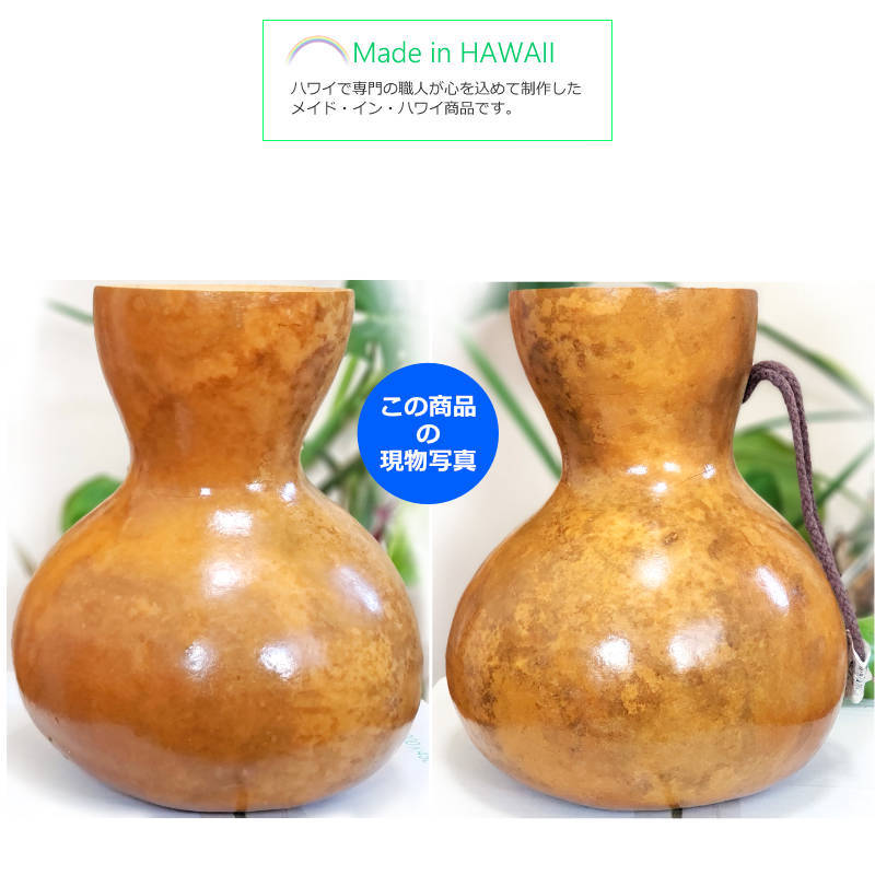 ハワイアン フラダンス 楽器 イプ ヘケ オレ 8インチタイプ (Mサイズ