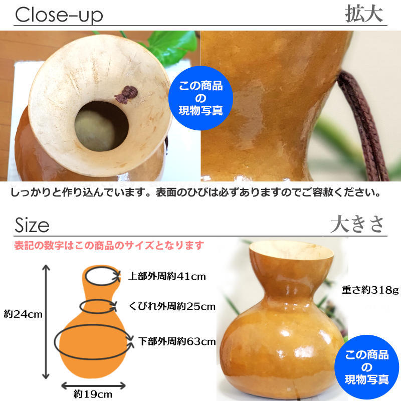 ハワイアン フラダンス 楽器 イプ ヘケ オレ 8インチタイプ (Mサイズ