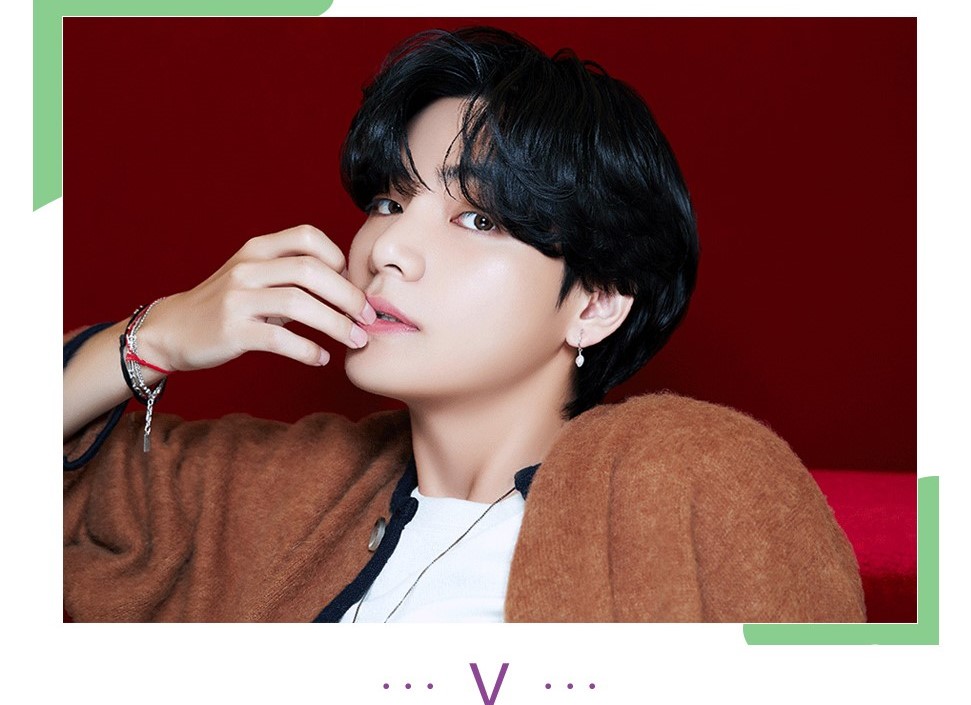 BTS 防弾少年団 公式グッズ 【3D LENTICULA】 レンチキュラー 3Dフォト