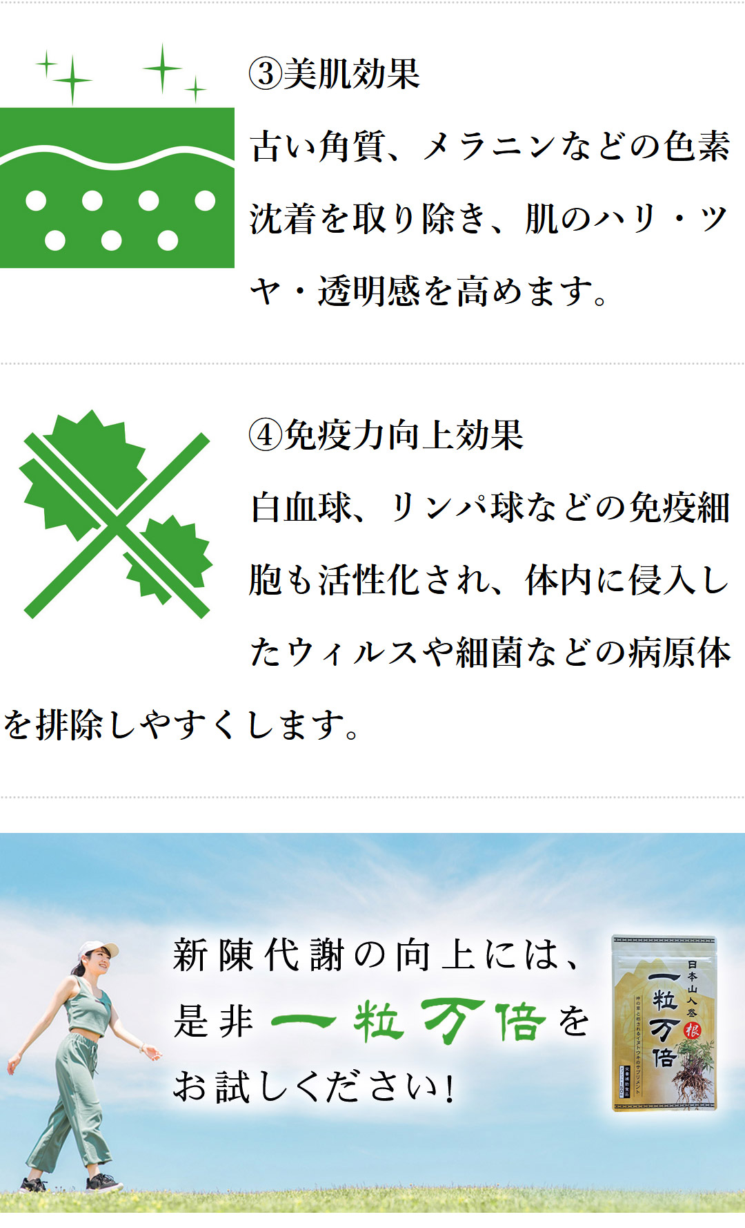 日本山人参イヌトウキ根のみ使用 『一粒万倍』150粒！日本国内栽培