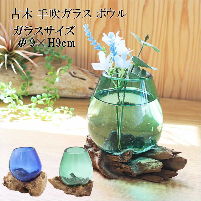 古木手吹ガラス ボウル 器 テラリウム アクアリウム フラワーベース
