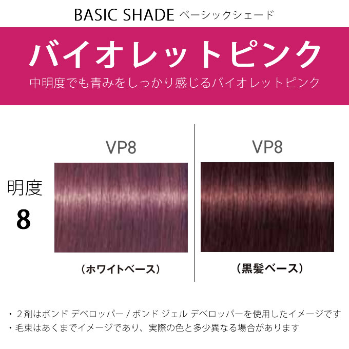 FIBERPLEX シュワルツコフ ファイバープレックス ボンドカラー VP8 80g