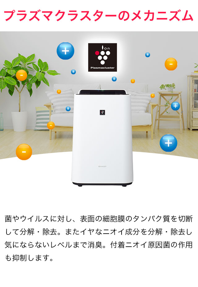 プラズマクラスター 【新品/正規品保障】SHARP シャープ 加湿空気清浄