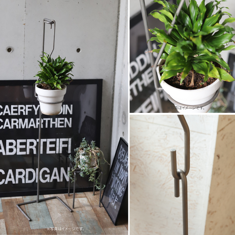 PLOP STAND プラントハンガー アイアン プロップ スタンド プラント