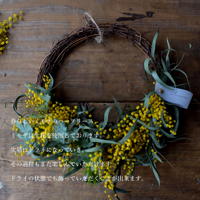 プリティ マーメイド 生花からドライを楽しむミモザスワッグ ミモザ