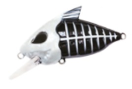 WaterLand（ウォーターランド） スケルトンクランク (定形外可