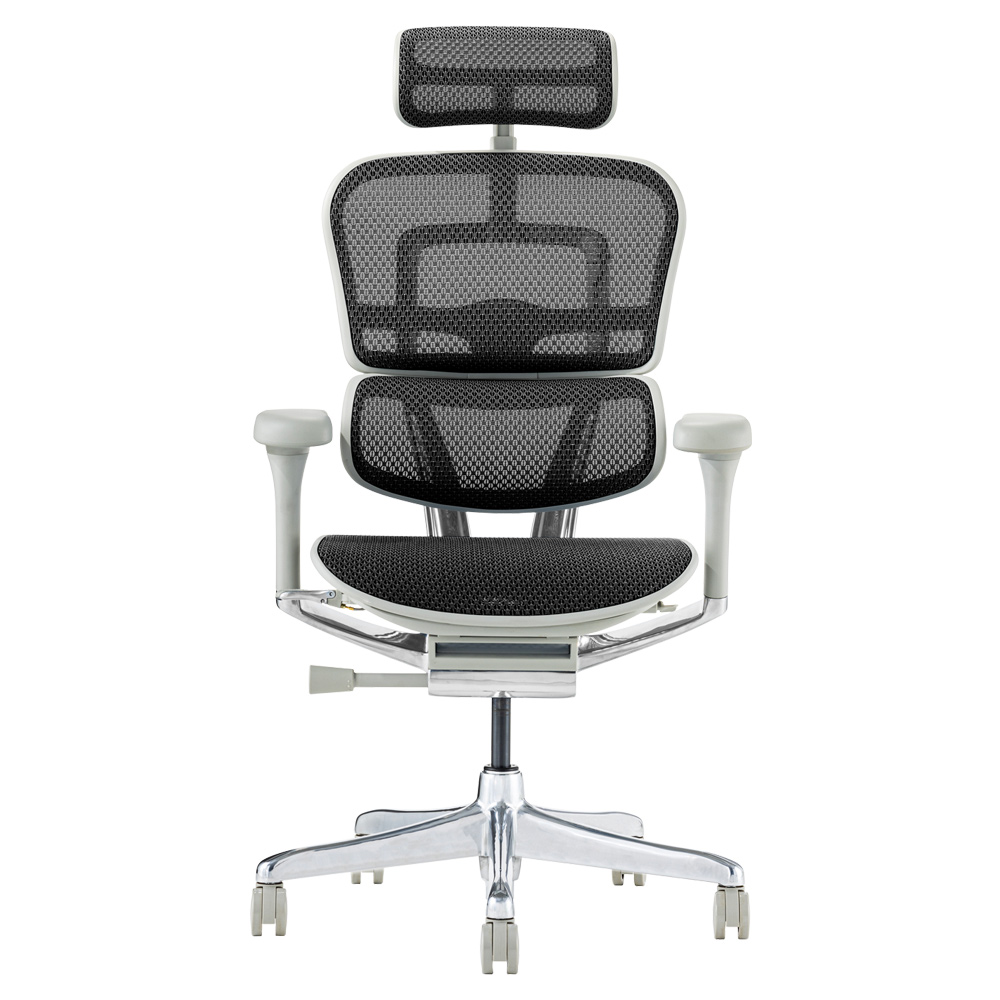 エルゴヒューマン（Ergohuman） プロ2 ヘッドレスト付 メーカー組立済