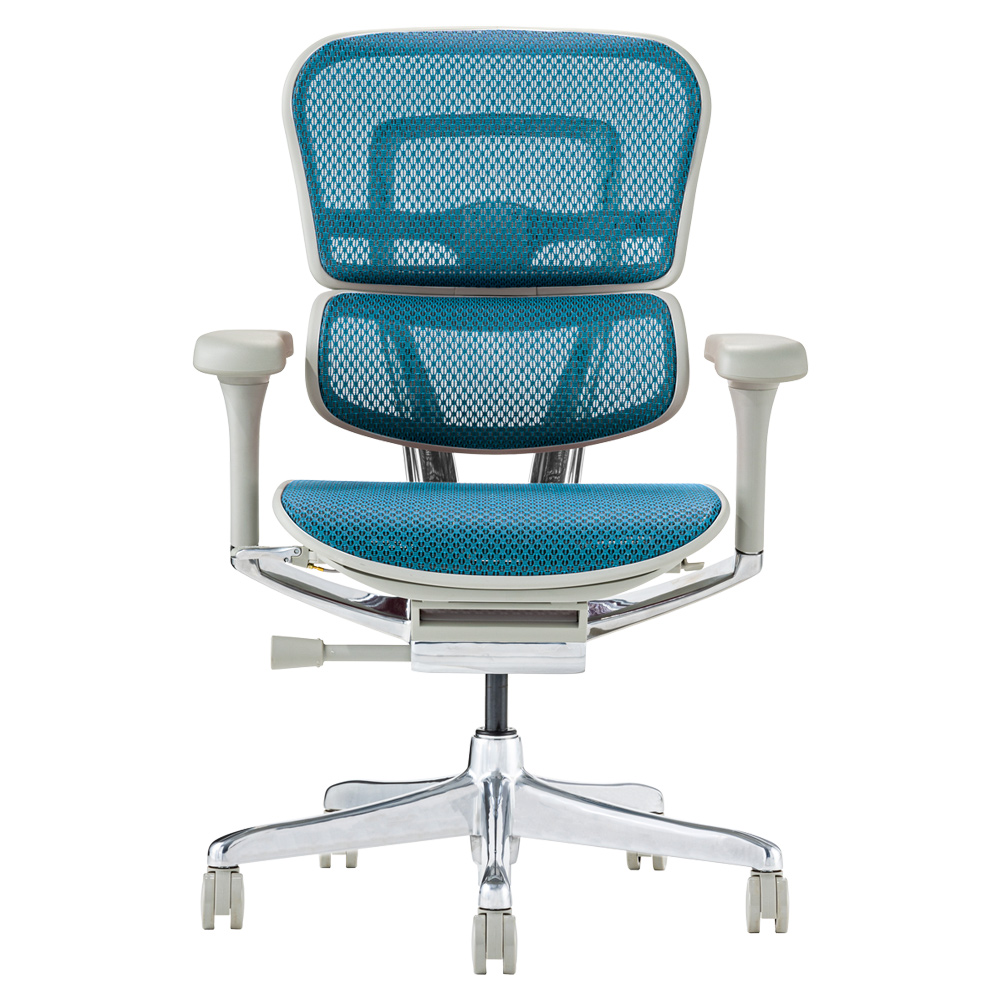 エルゴヒューマン（Ergohuman） プロ2 ヘッドレスト無し 梱包材を無料